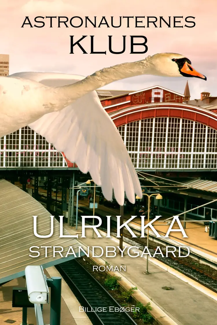 Astronauternes klub af Ulrikka Strandbygaard