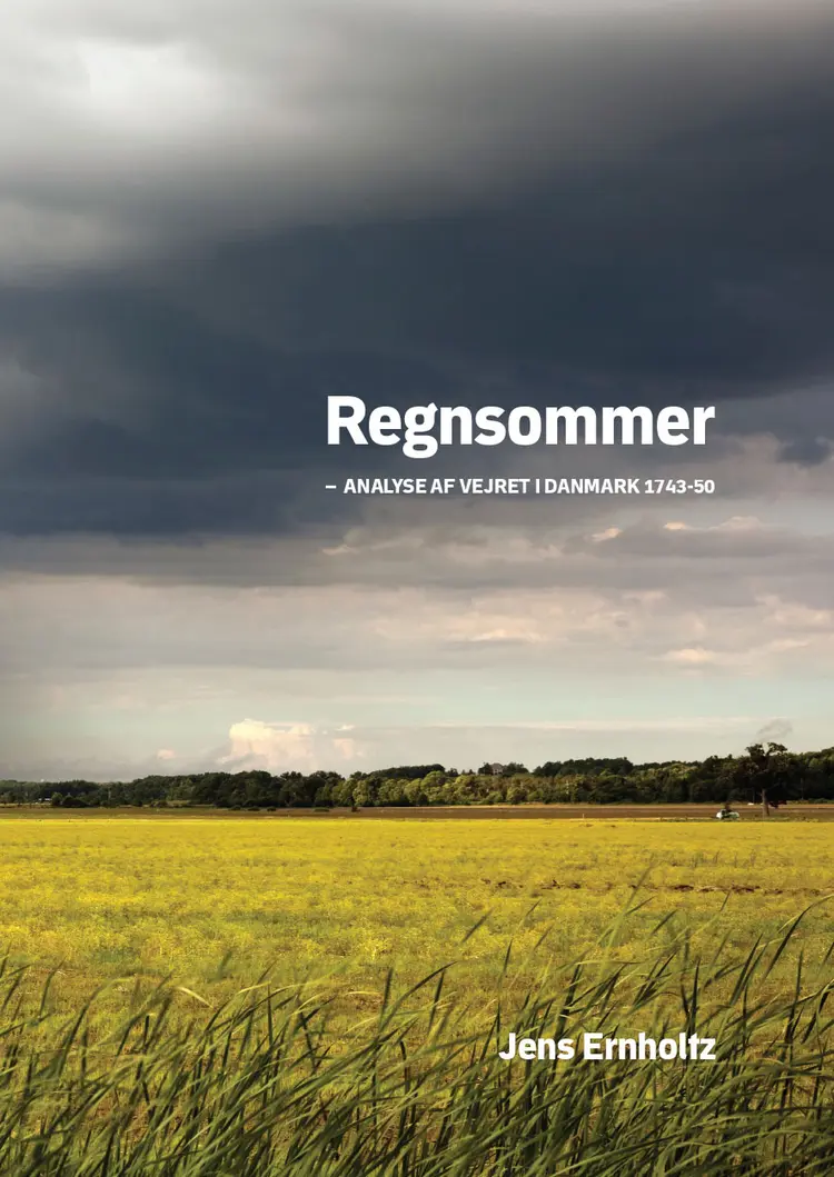 Regnsommer af Jens Ernholtz