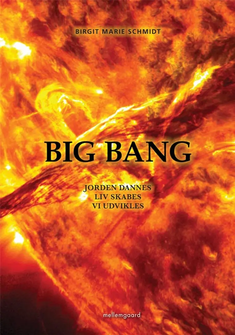 Big Bang af Rosanna Hallgreen