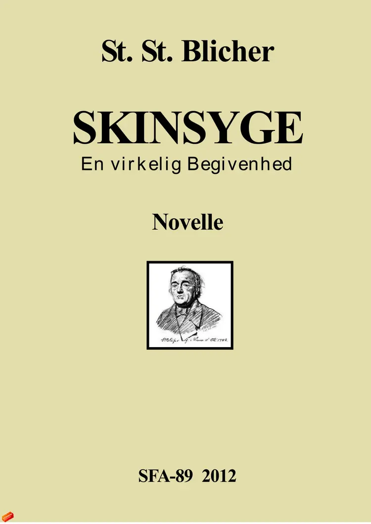 Skinsyge af Steen Steensen Blicher