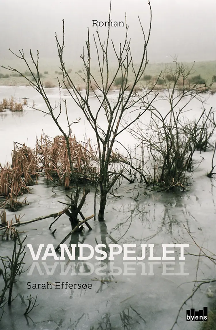Vandspejlet af Sarah Effersøe