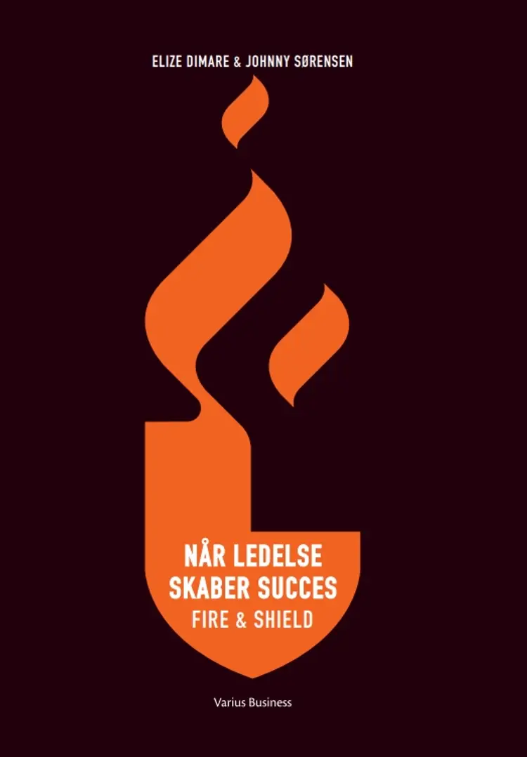 Når ledelse skaber succes af Elize Dimare