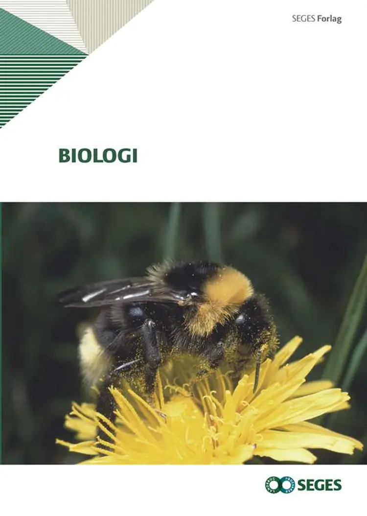 Biologi af Anne-Marie Kristensen