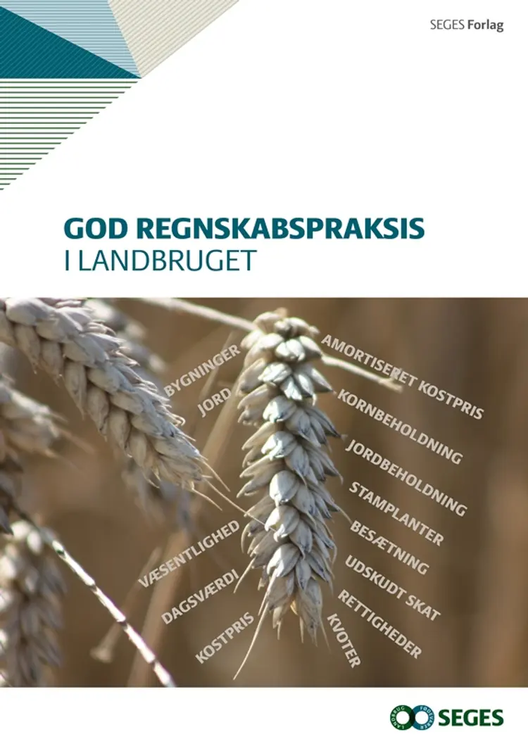God regnskabspraksis af Kim Wegener