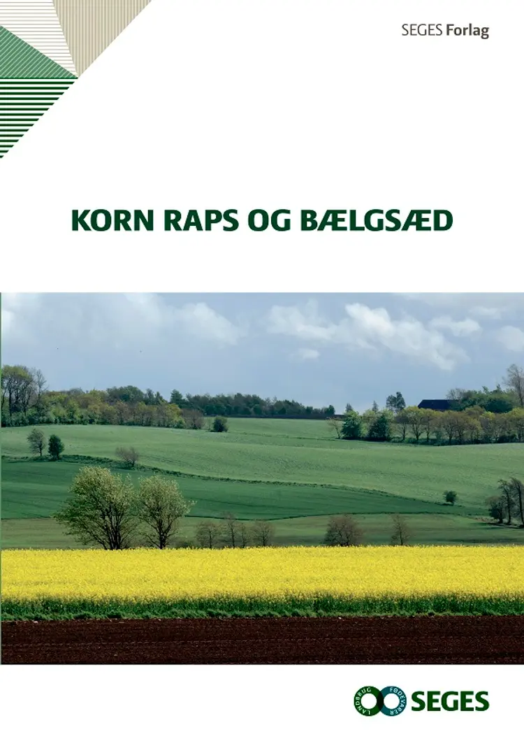 Korn, raps og bælgsæd af Inger Bertelsen