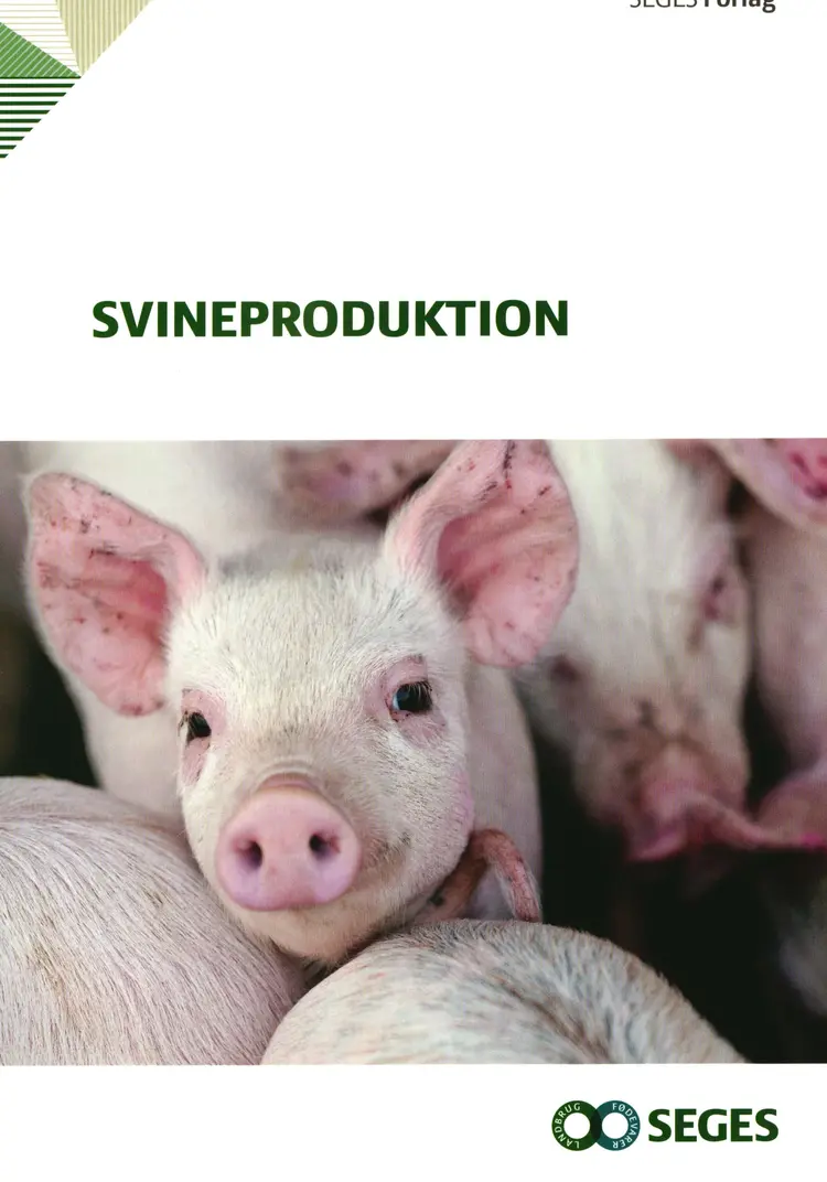 Svineproduktion af Andreas Vest Weber