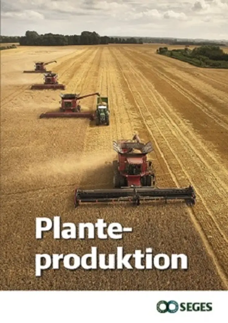 Planteproduktion af Lotte Ipsen