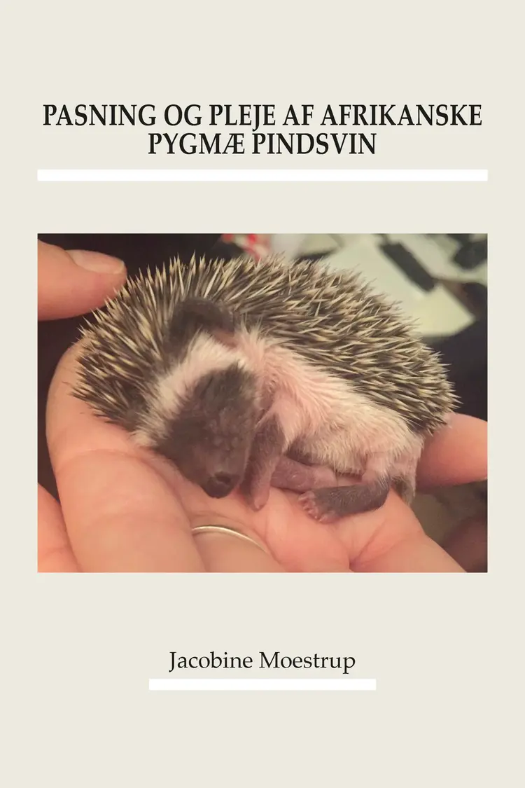 Pasning og pleje af afrikanske pygmæ pindsvin af Jacobine Moestrup