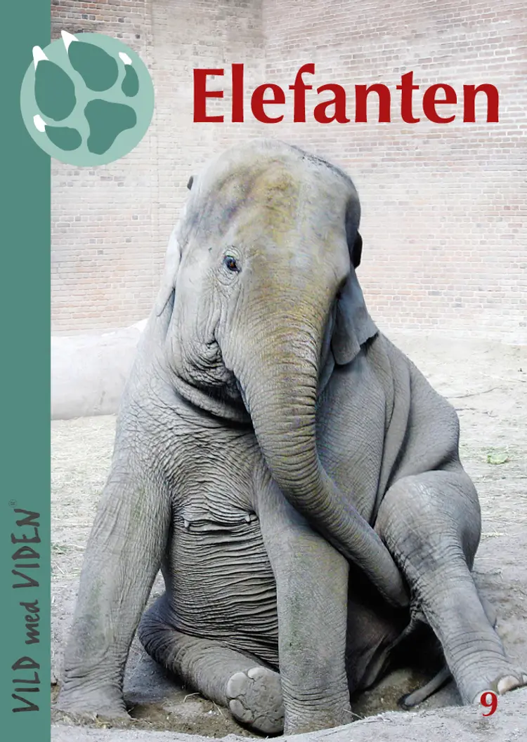 Elefanten af Claus Rye Schierbeck