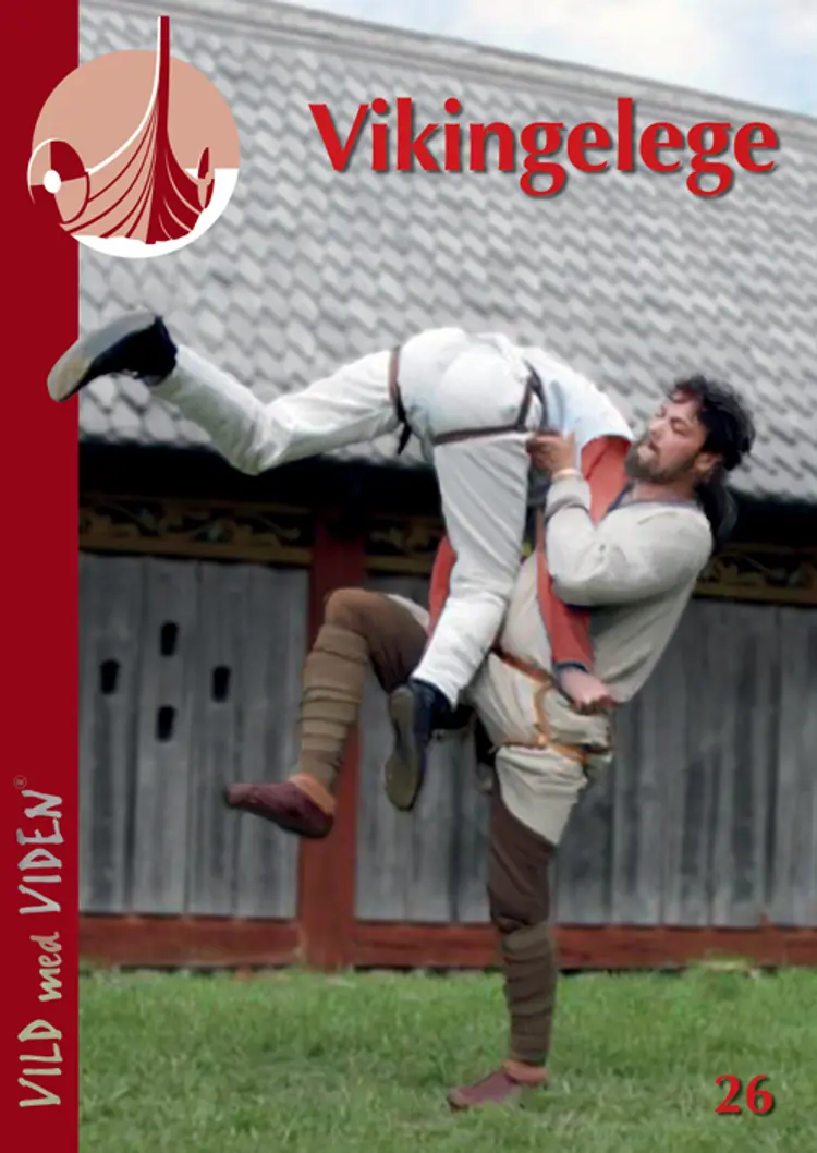Vikingelege af Artur Stryjak