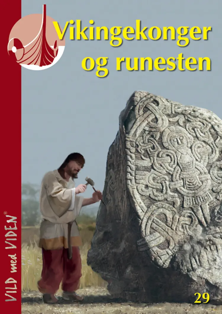 Vikingekonger og runesten af Hans Ole Matthiesen
