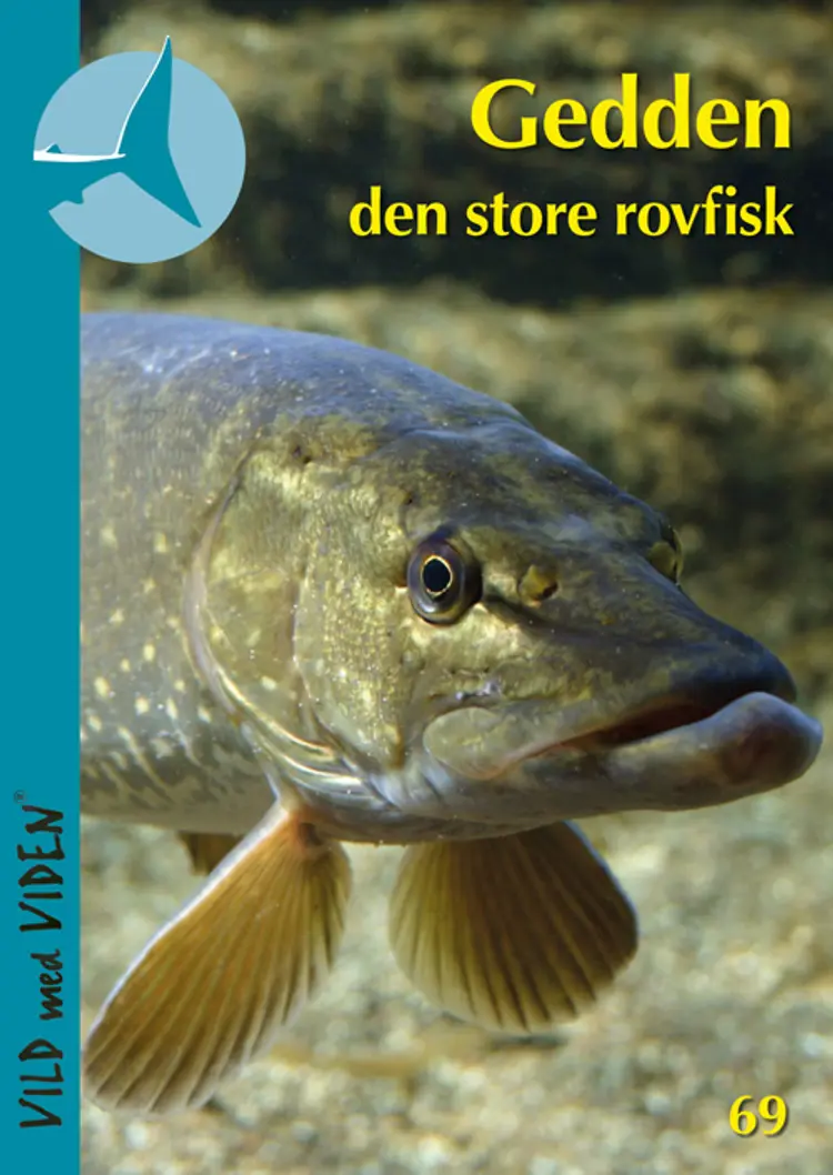 Gedden - den store rovfisk af Søren Berg