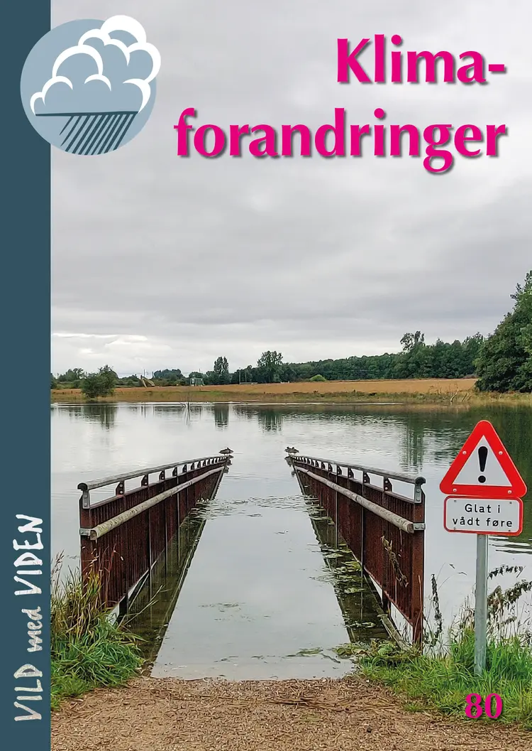 Klimaforandringer af Nina Bendixen