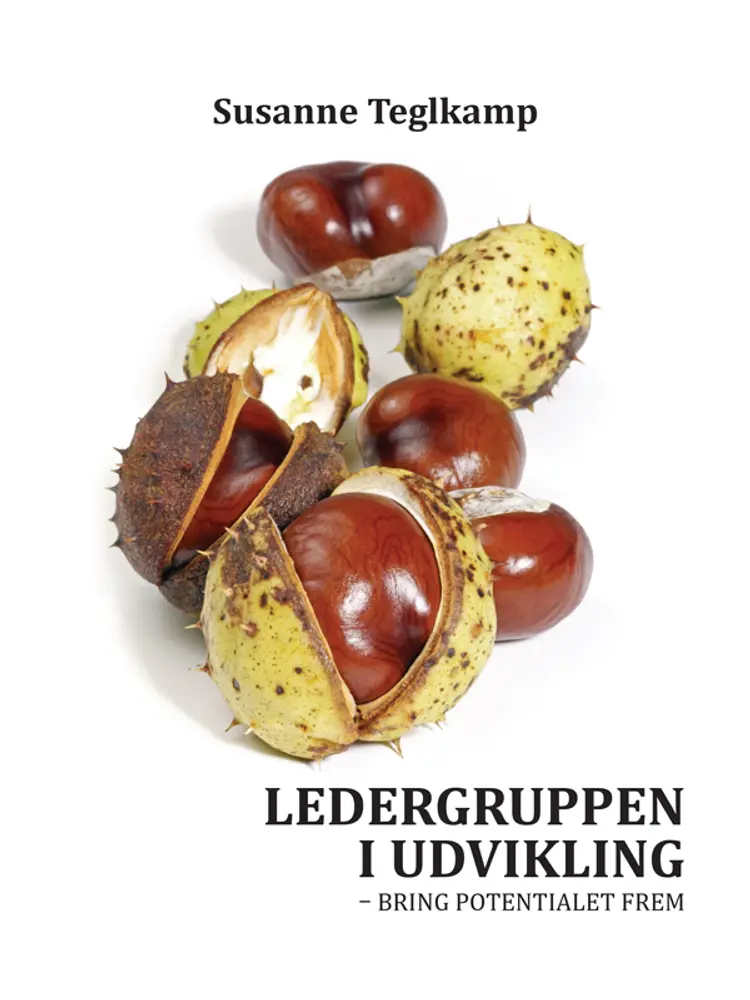 Ledergruppen i udvikling af Susanne Teglkamp