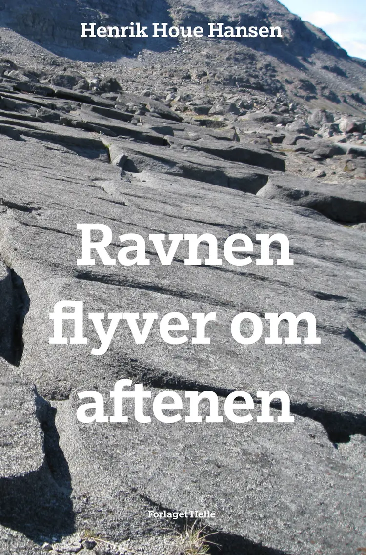 Ravnen flyver om aftenen af Henrik Houe Hansen