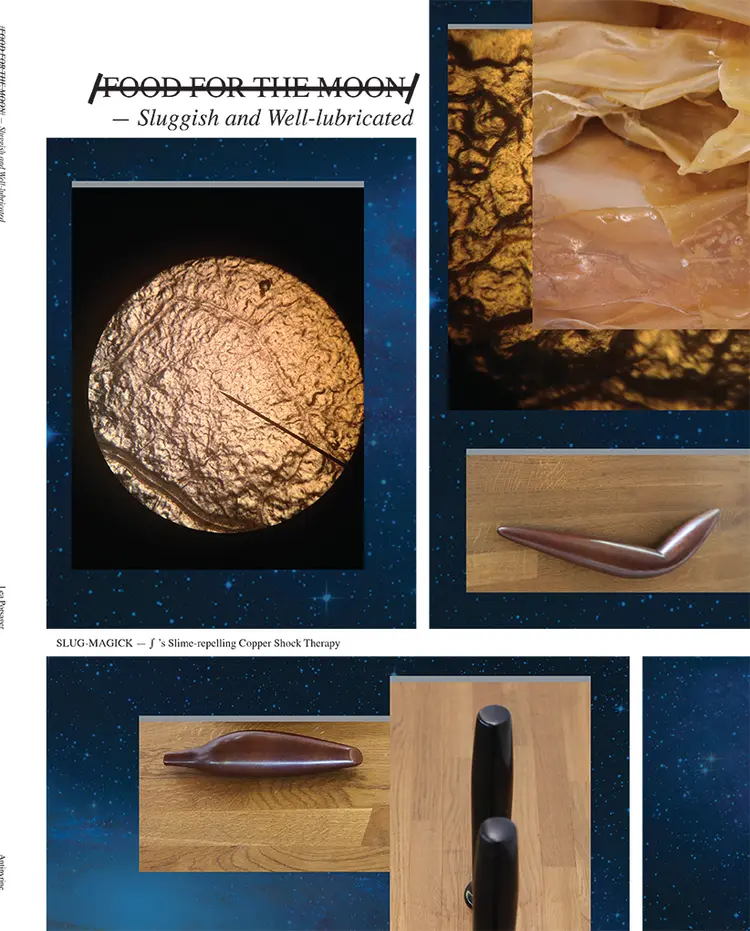 Food for the moon af Lea Porsager