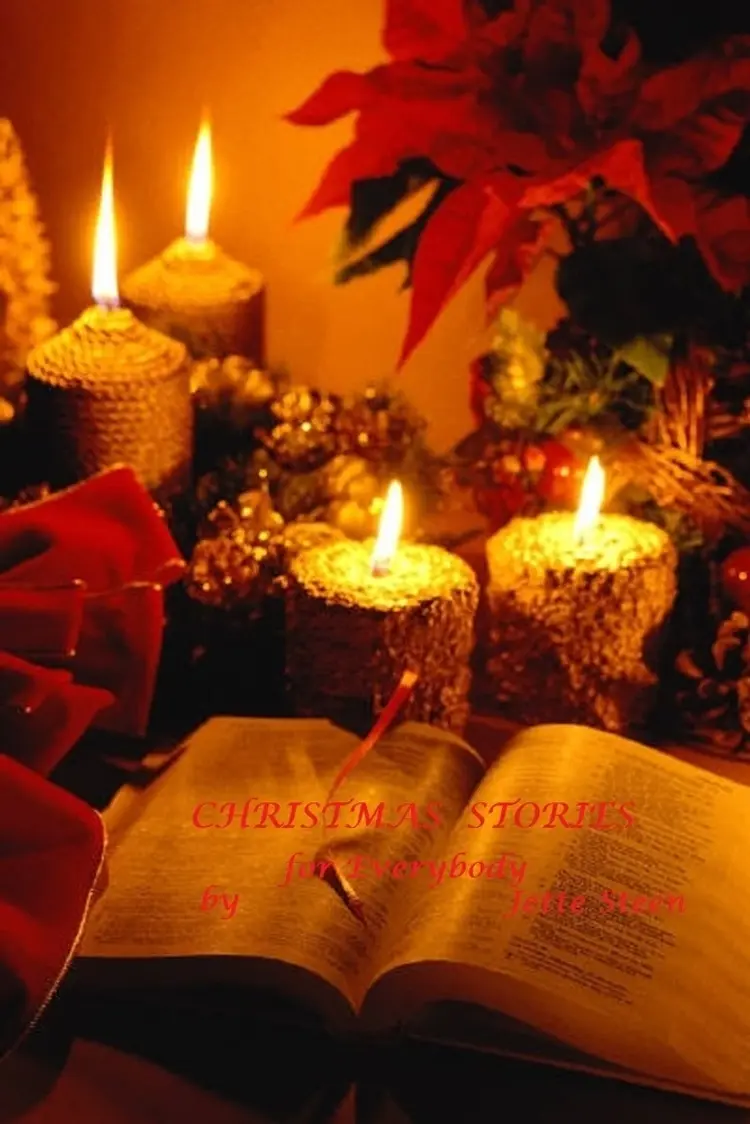 Christmas stories for everybody af Jette Steen