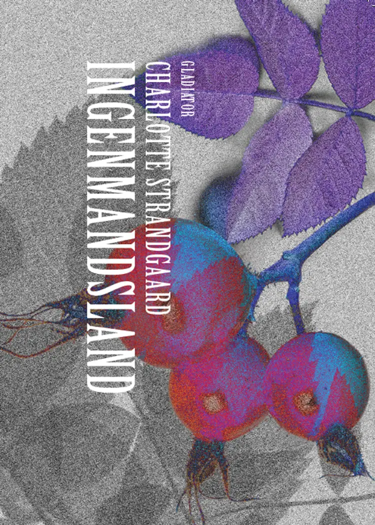 Ingenmandsland af Charlotte Strandgaard