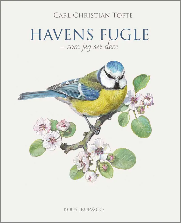 Havens fugle - som jeg ser dem af Tofte