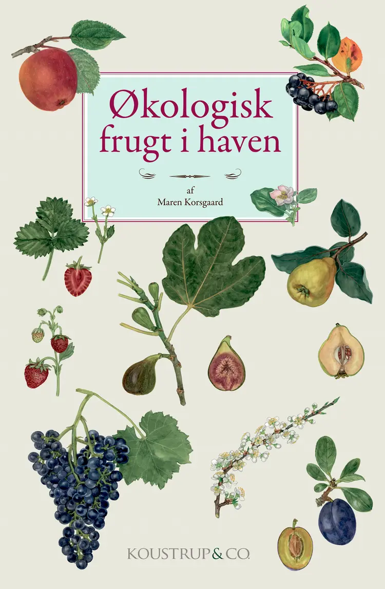 ØKOLOGISK FRUGT I HAVEN af Kirsten Tind