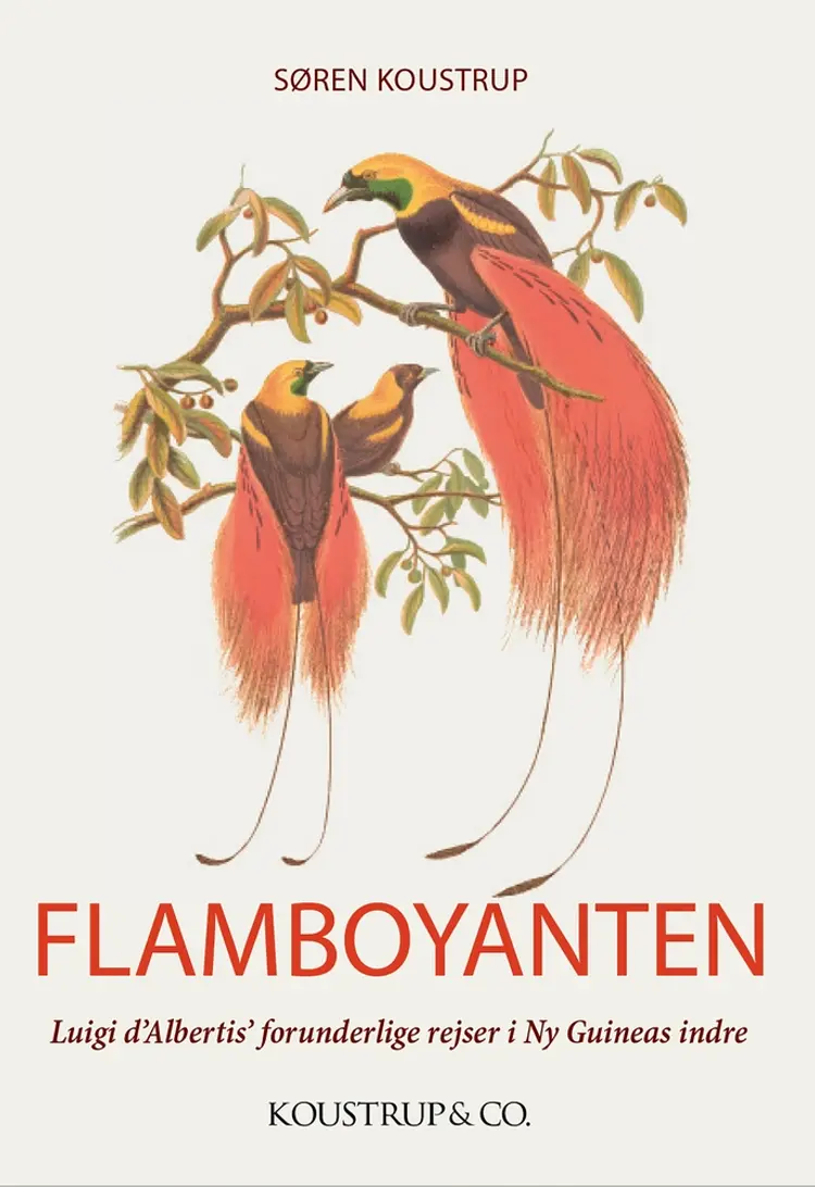 Flamboyanten af Søren Koustrup
