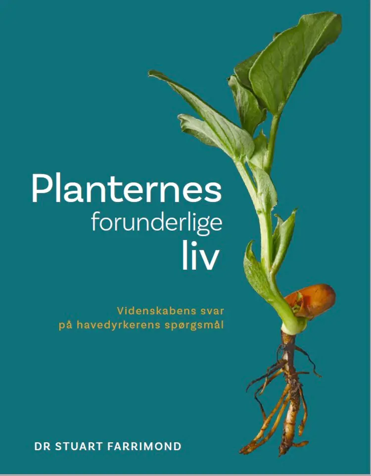 Planternes forunderlige liv af Maren Korsgaard