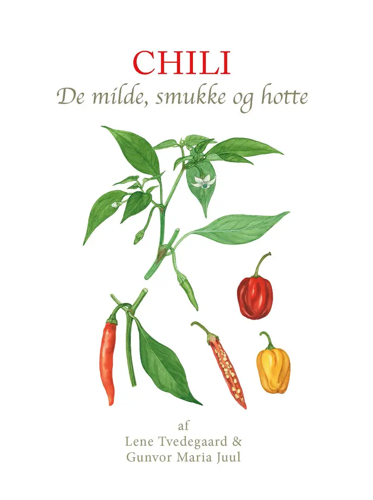 Chili af Lene Tvedegaard