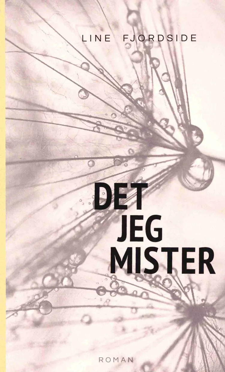 Det jeg mister af Line Fjordside