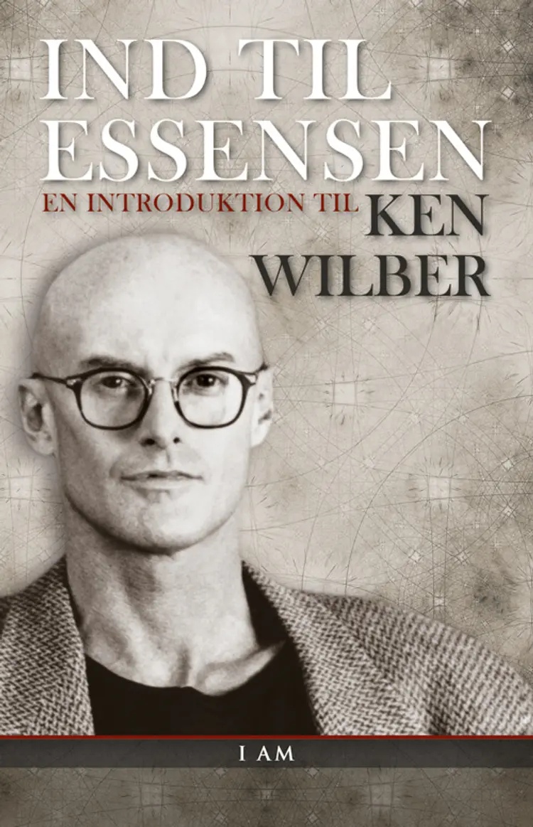 Ind til essensen af Ken Wilber