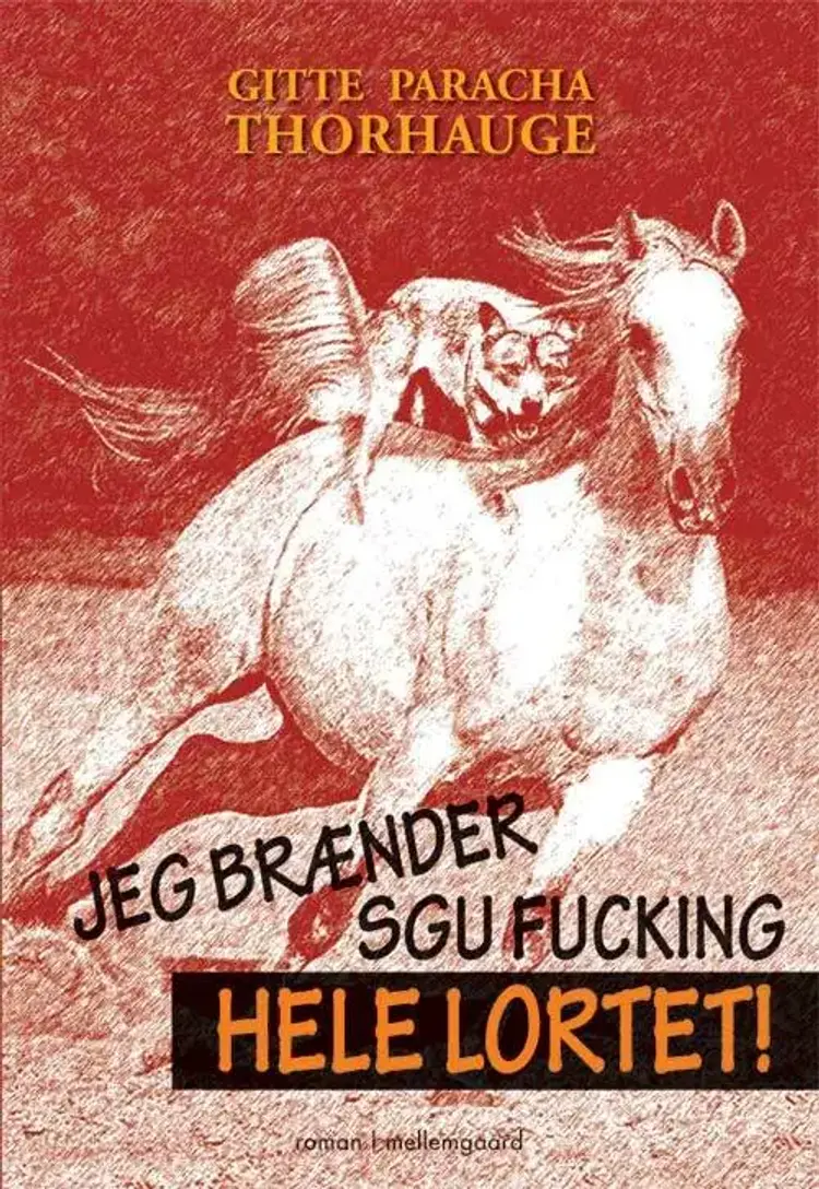 Jeg brænder sgu fucking hele lortet! af Gitte Paracha Thorhauge