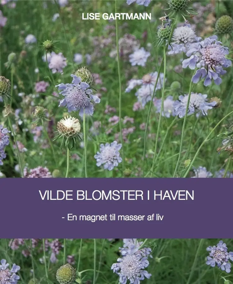 Vilde blomster i haven af Lise Gartmann