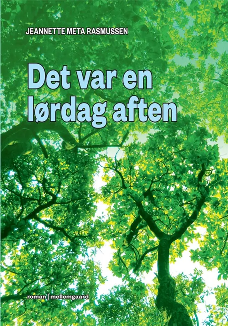 Det var en lørdag aften af Jeannette Meta Rasmussen