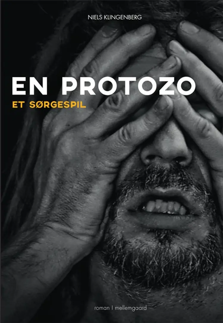 En protozo af Niels Klingenberg