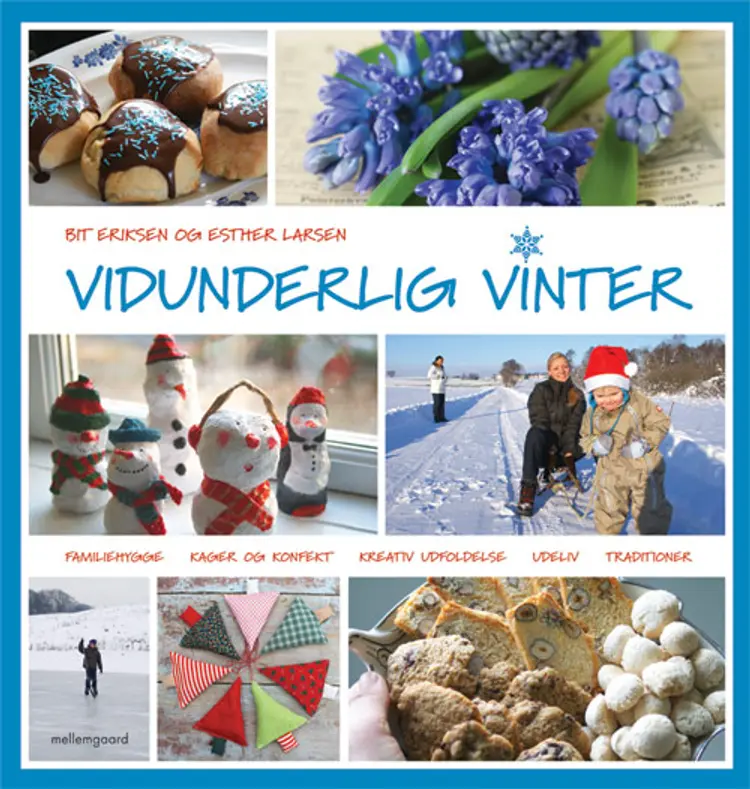Vidunderlig vinter af Esther Larsen