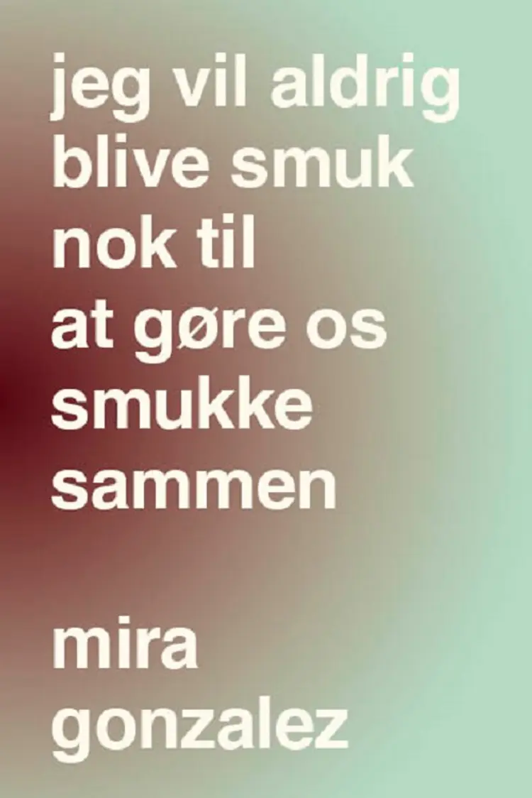 Jeg vil aldrig blive smuk nok til at gøre os smukke sammen af Mira Gonzalez