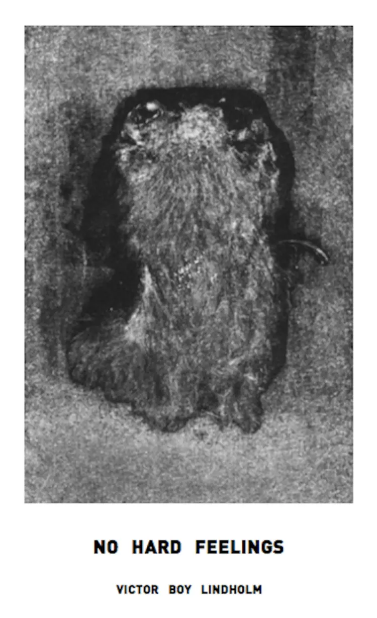 No hard feelings af Victor Boy Lindholm