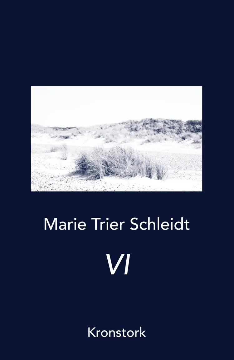 VI af Marie Trier Schleidt