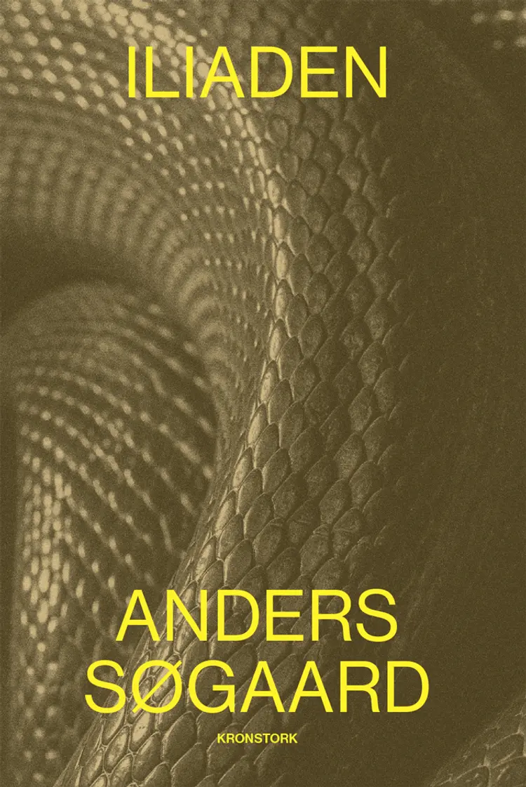 Iliaden af Anders Søgaard