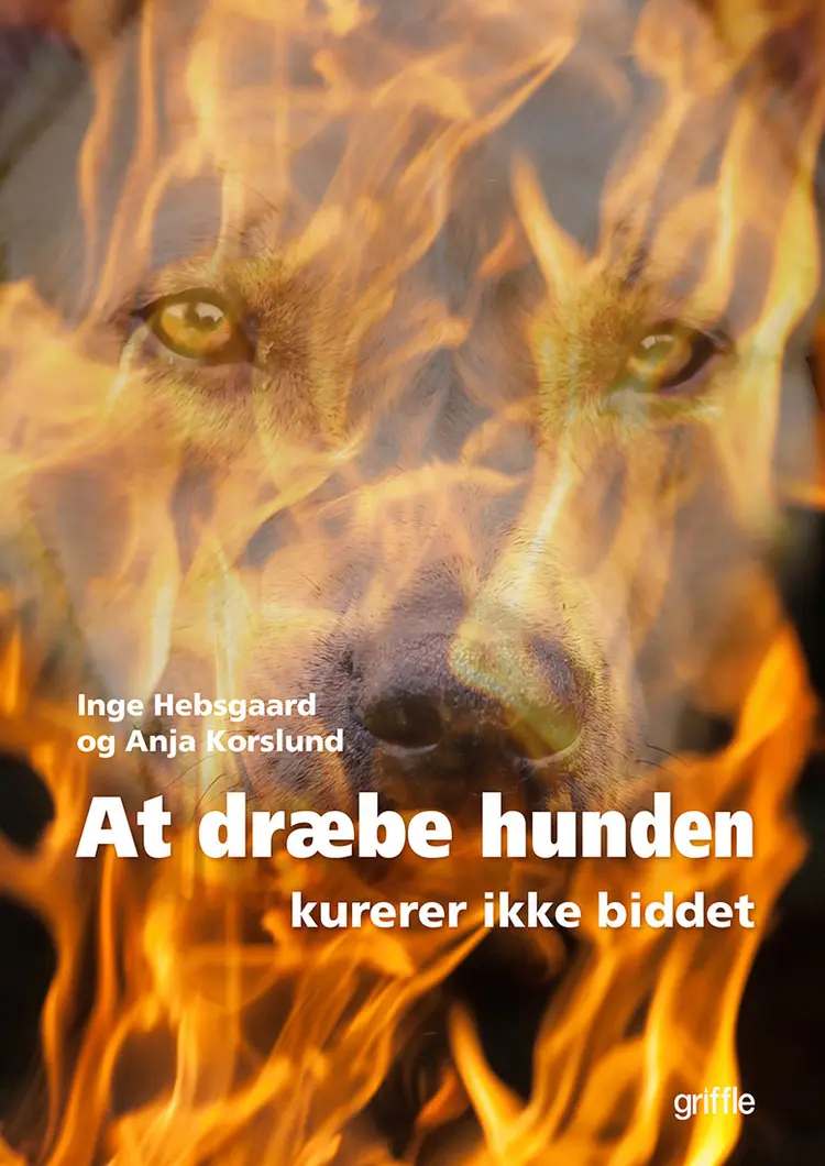 At dræbe hunden kurerer ikke biddet af Anja Korslund