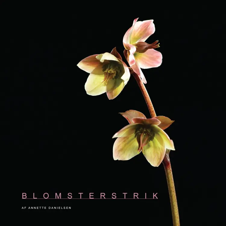 Blomsterstrik af Randi Schmidt