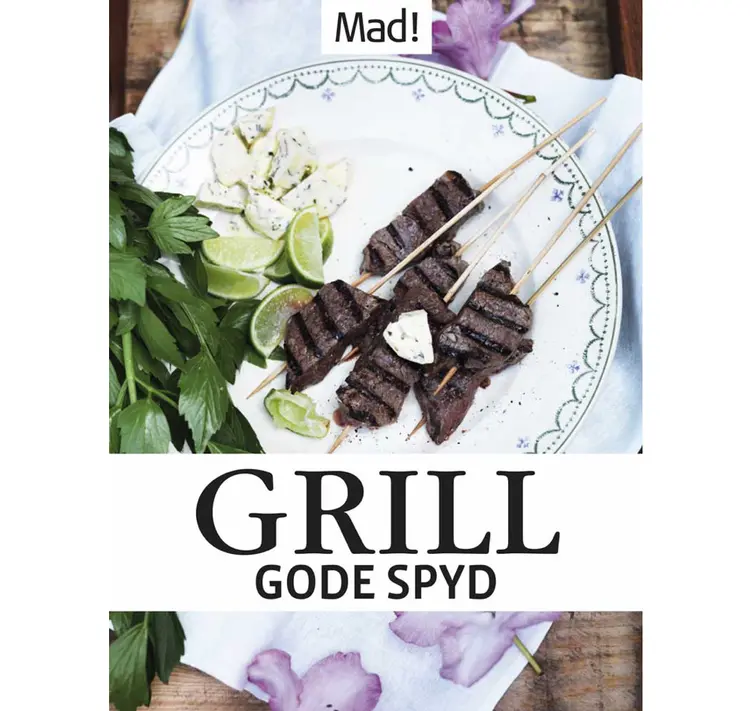 Grill - gode spyd af Magasinet Mad!