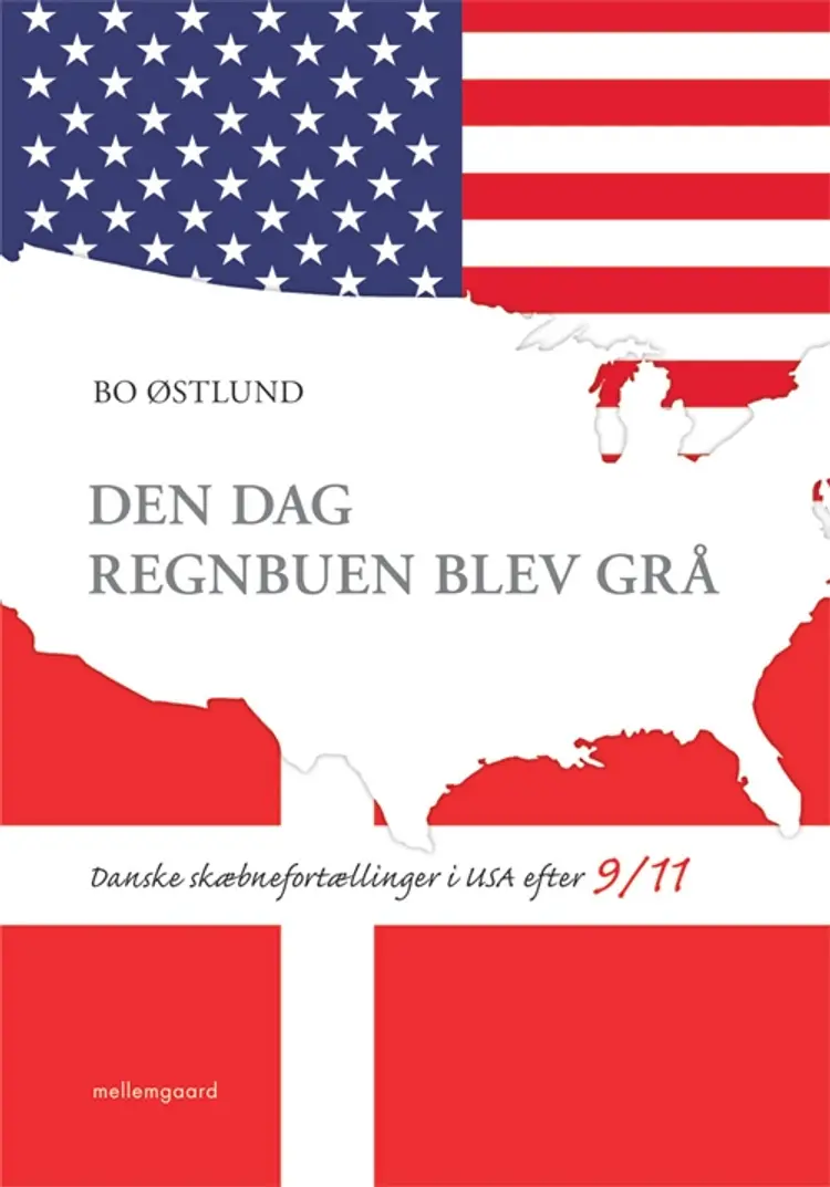 Den dag regnbuen blev grå af Jens Eichler Lorenzen