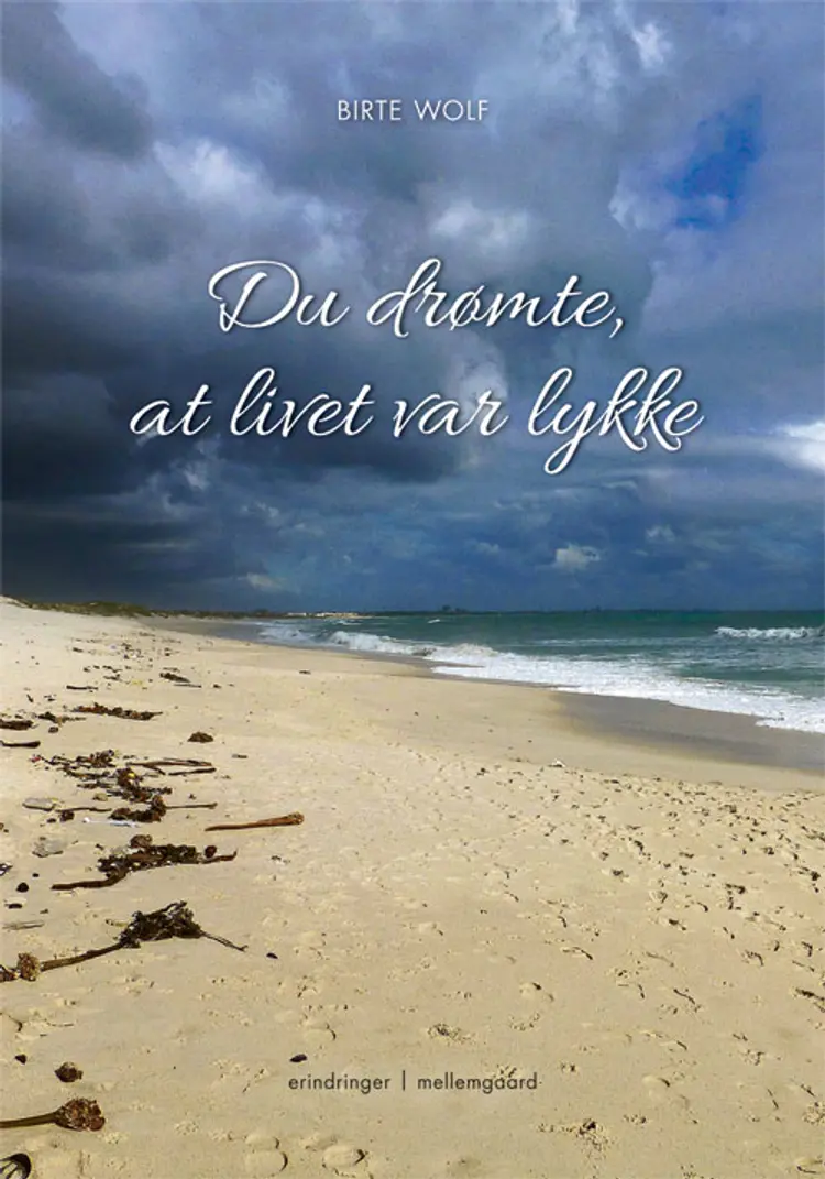 Du drømte, at livet var lykke af Birte Wolf