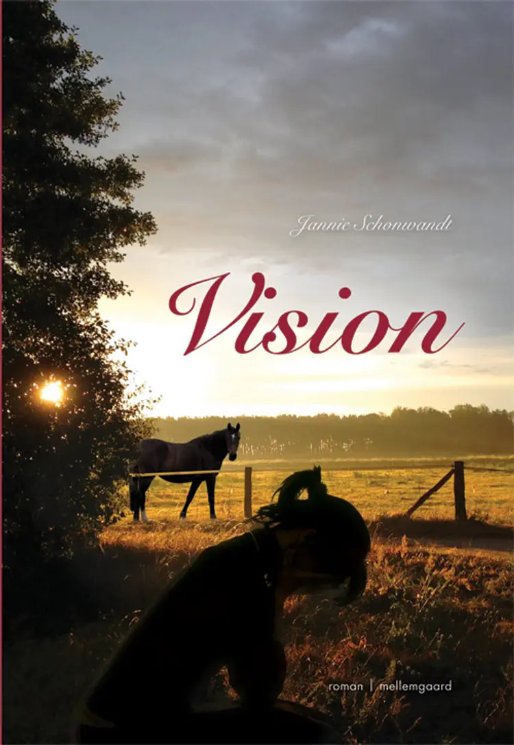 Vision af Nichlas Jacobsen
