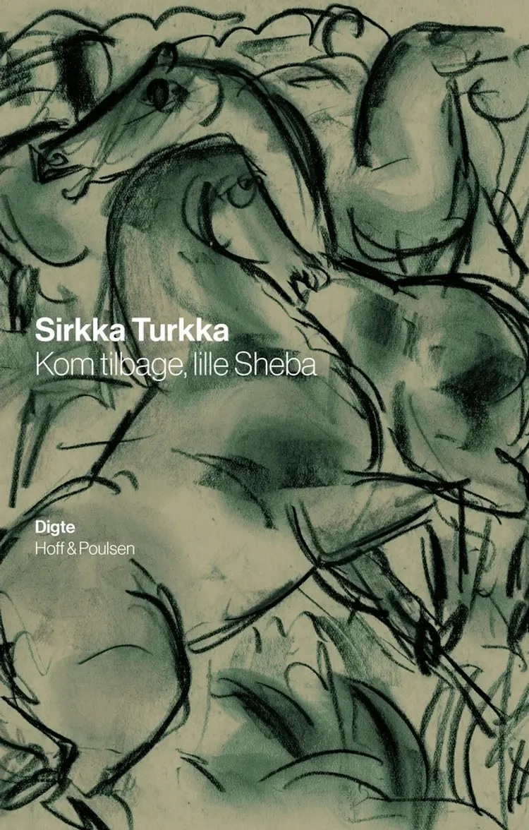 Kom tilbage, lille Sherba af Sirkka Turkka