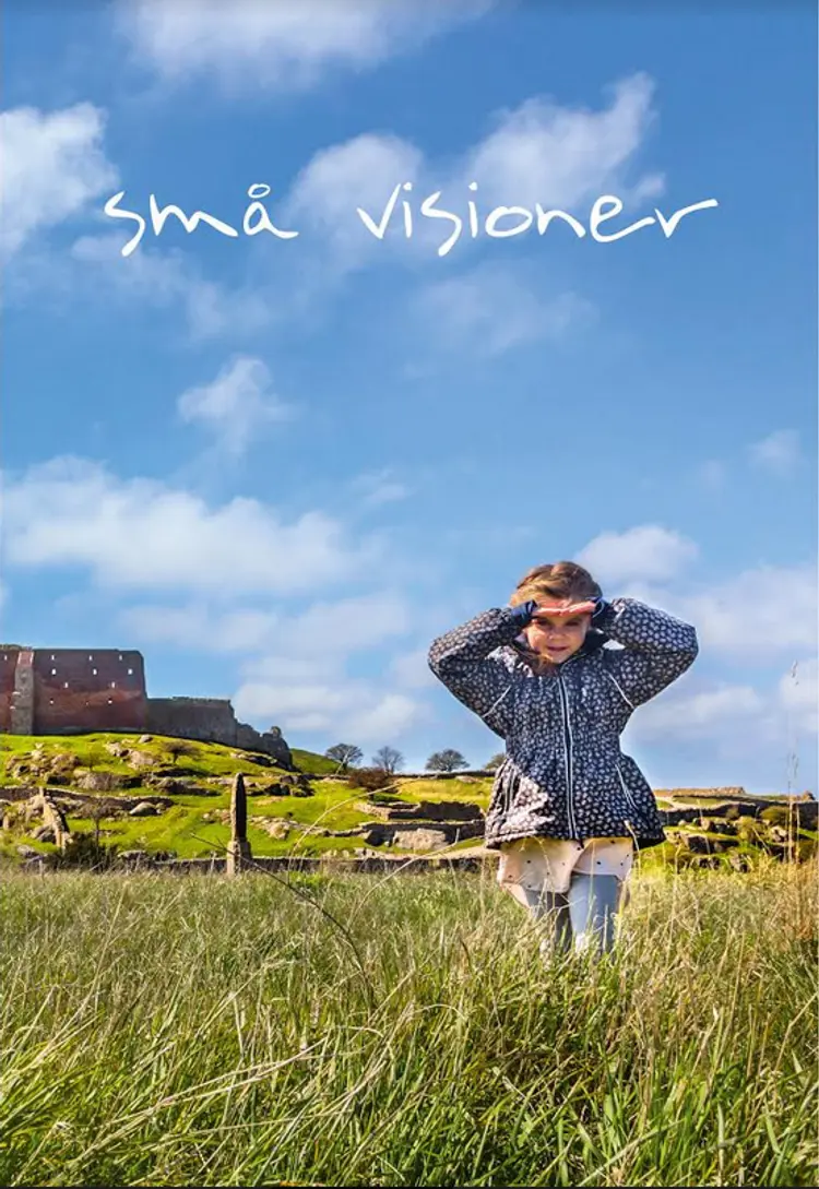 Små visioner af Jesper Rovsing Olsen