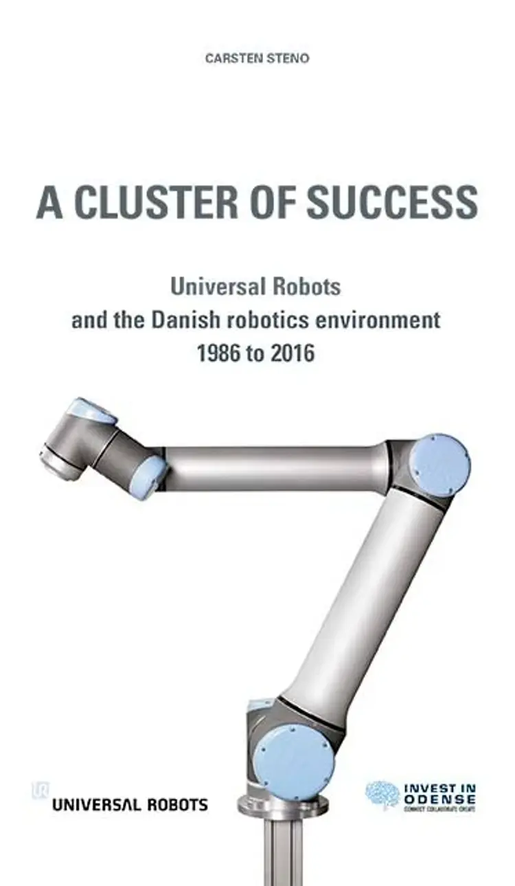 A Cluster of Succes af Carsten Steno