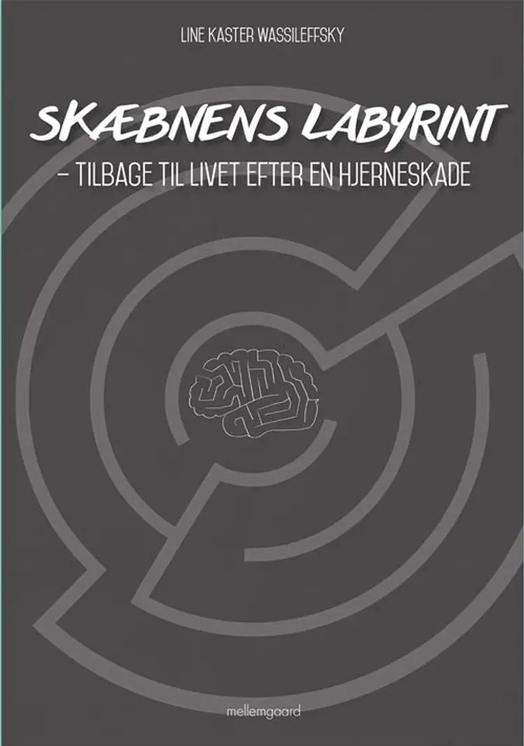 Skæbnens labyrint af Line Kaster Wassileffsky