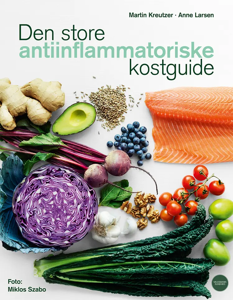 Den store antiinflammatoriske kostguide af Martin Kreutzer
