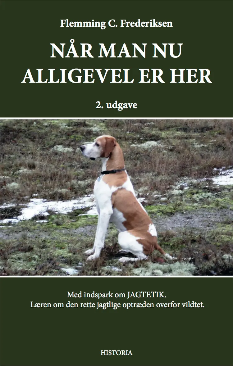 Når man nu alligevel er her af Flemming C. Frederiksen